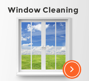 Window Cleaning